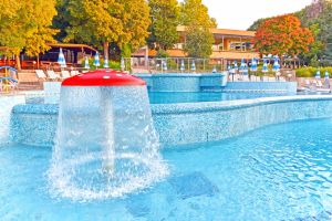 КОМПЛЕКС ОРХИДЕИ