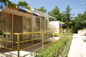 ВИЛИ МАГНОЛИЯ