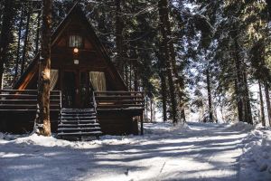 ВИЛИ МАЛИНА