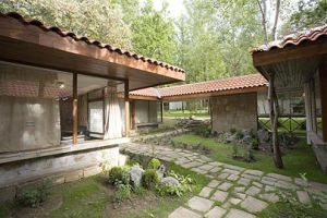 ВИЛИ РОПОТАМО ЛОТОС 