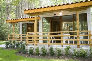 ВИЛИ РОПОТАМО 