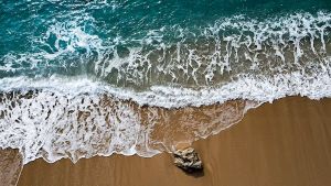 ЛАРА 8 НОЩ. САМОЛЕТ ОТ СОФИЯ ЧЕТВЪРТЪК - РАННИ ЗАПИСВАНИЯ 2026