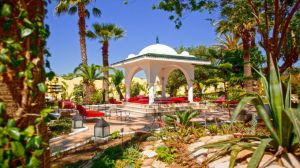 SIMBA CLUB - Samira Club Standard