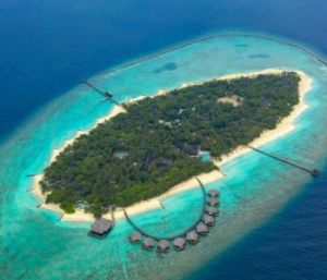 ADAARAN MEEDHUPPARU SELECT