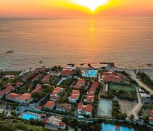 СТАНДАРТ ПЛЮС