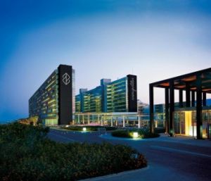 NIRVANA COSMOPOLITAN